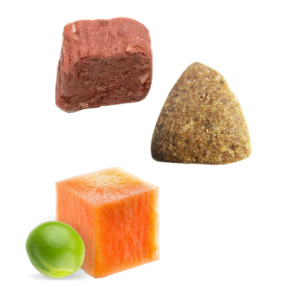 KF Nature Gourmet Salmon & Lamb Medium & Large Breed Dog Kibble