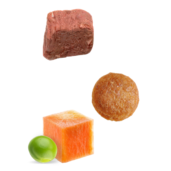 KF Nature Gourmet Salmon Coat Beauty Medium Large Breed Dog Kibble