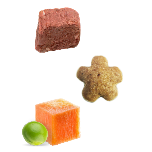 KF Nature Gourmet Salmon Coat Beauty Small Breed Dog All Life Stages Dog Kibble