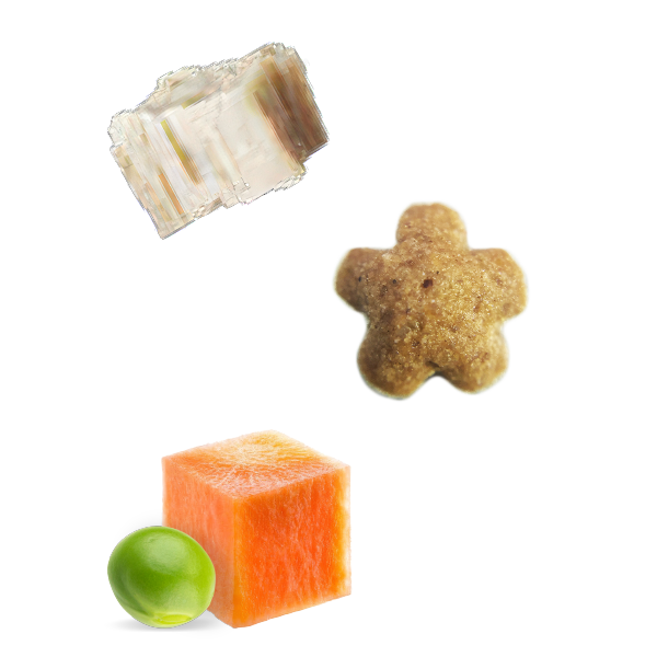 KF Nature Gourmet Silkie Fowl Complete Food For Baby Puppy 1 3 Months Old Kibble